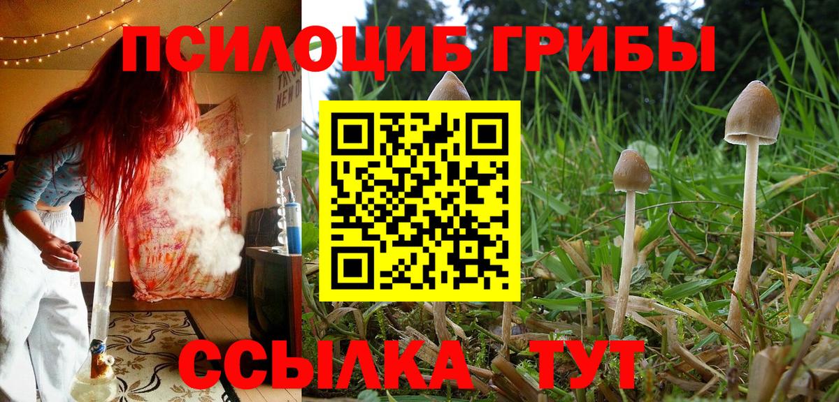 Галлюциногенные грибы мухоморы  Вход с VPN  Кизилюрт 
