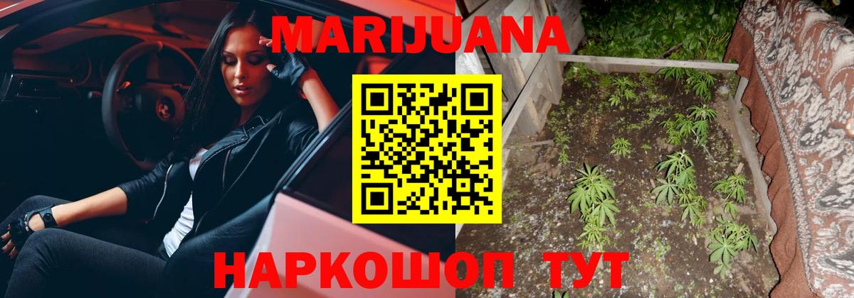 Марихуана конопля  Конопля White Widow  Кизилюрт  Конопля OG Kush  Вход с VPN  Конопля OG Kush 